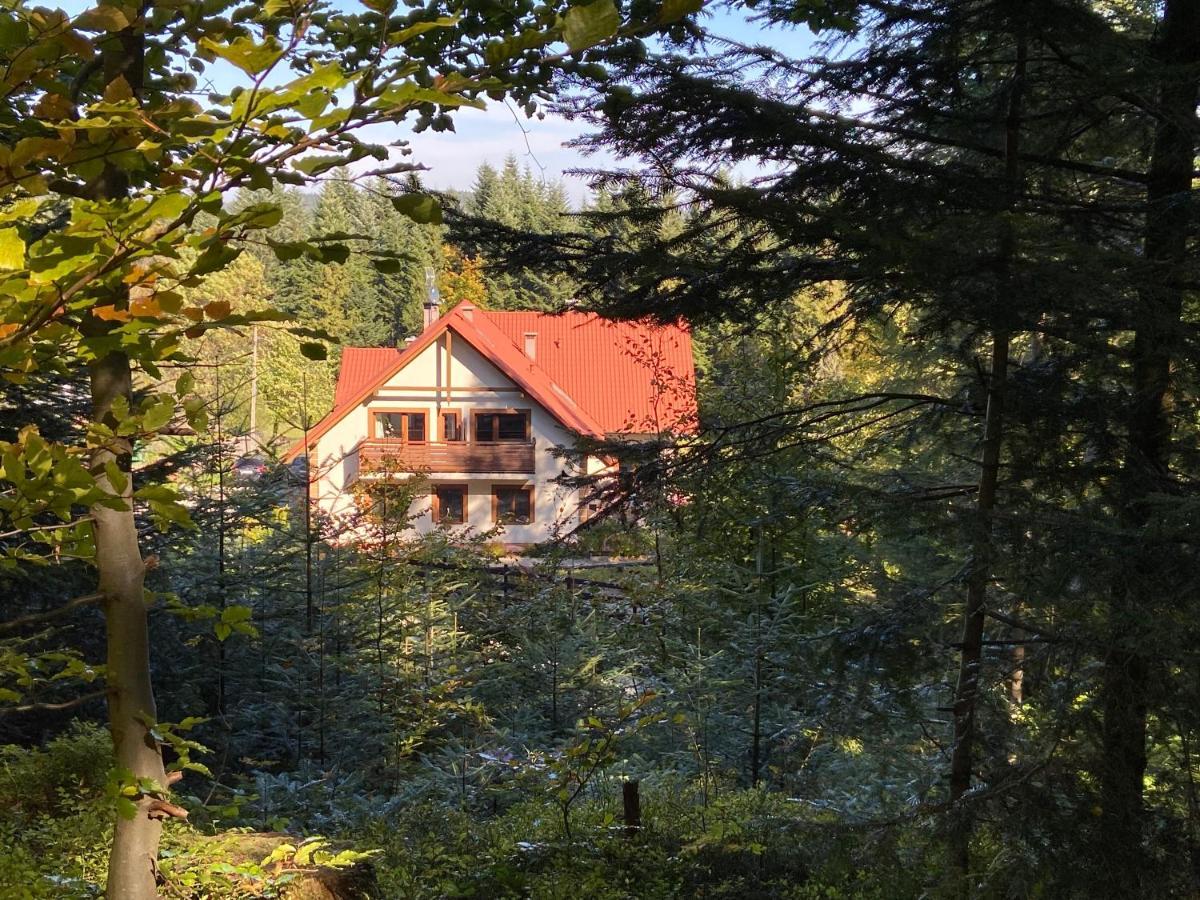 Farm stay Sarni Stok Krynica Zdroj